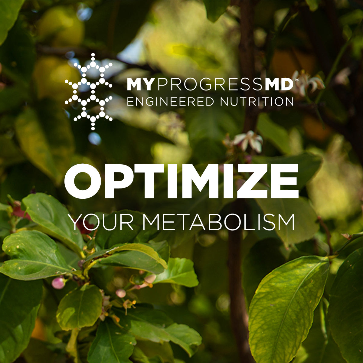 Optimize Your Metabolism